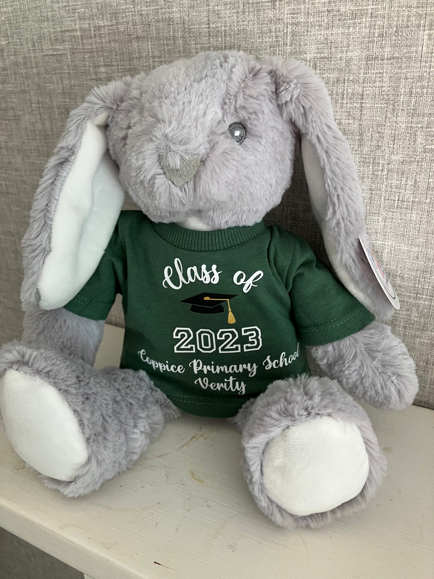 Personalised School leavers gift, Graduation Teddy, Class of 2024 leavers gift.