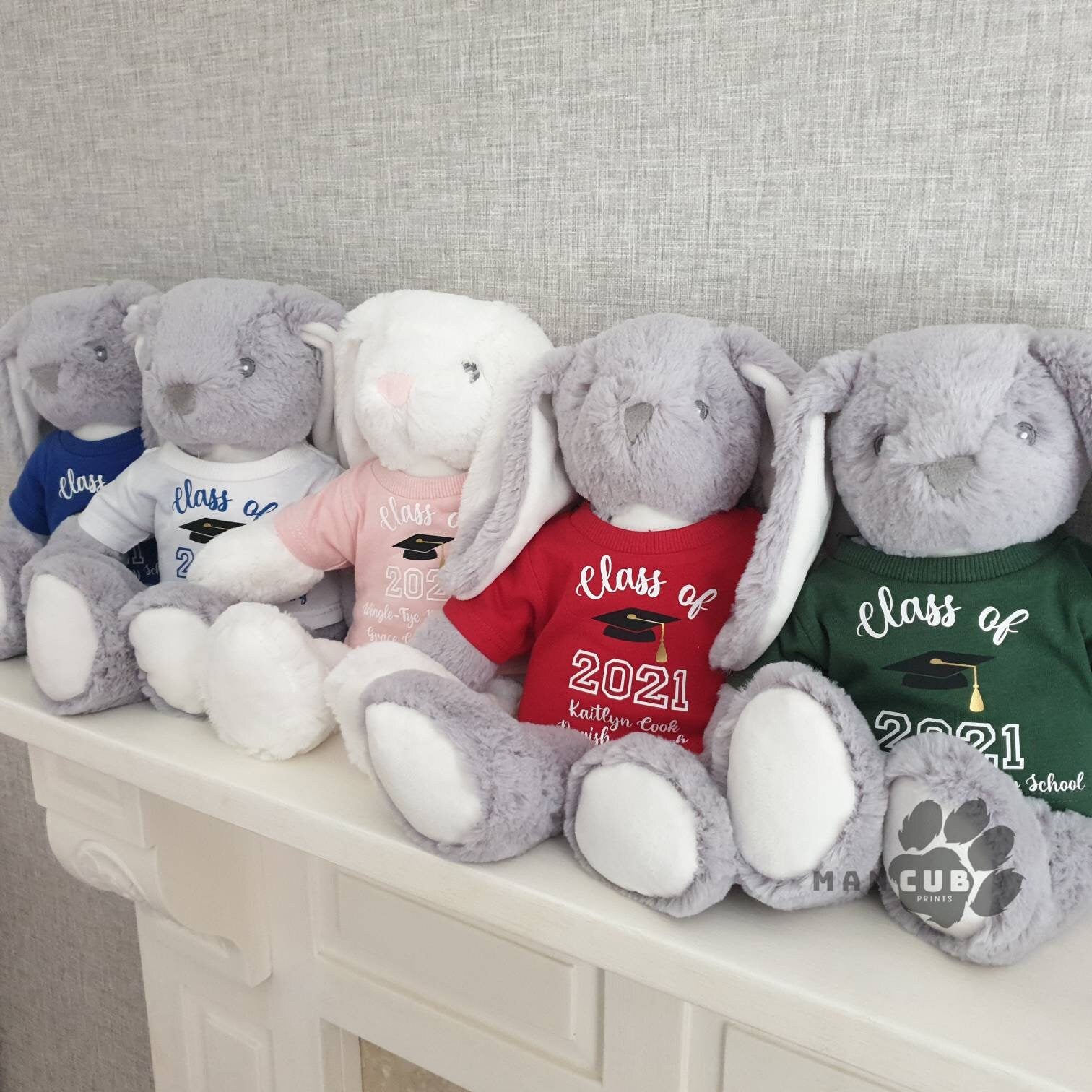 Personalised School leavers gift, Graduation Teddy, Class of 2024 leavers gift. - Mancub Prints