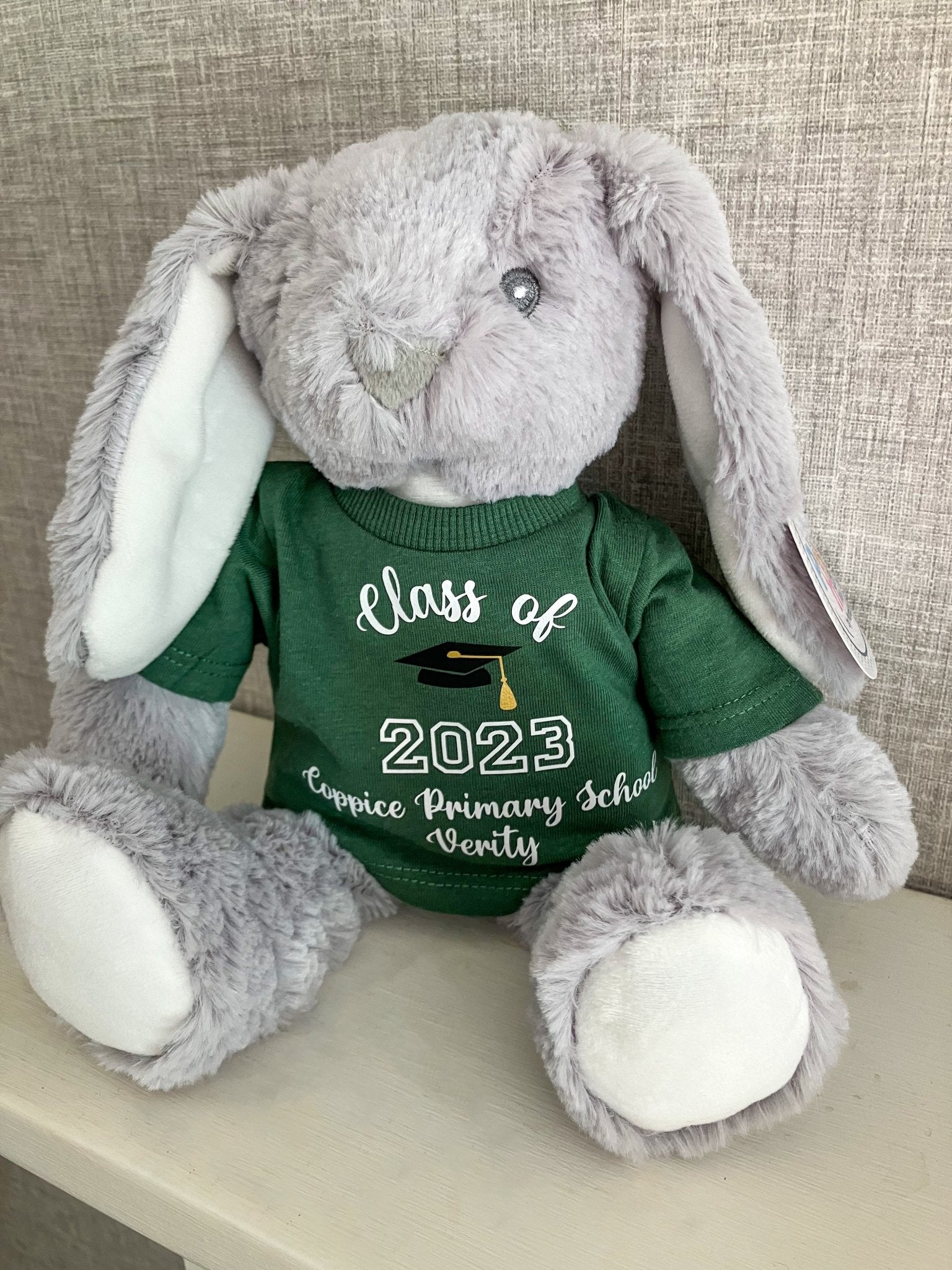 Personalised School leavers gift, Graduation Teddy, Class of 2024 leavers gift. - Mancub Prints